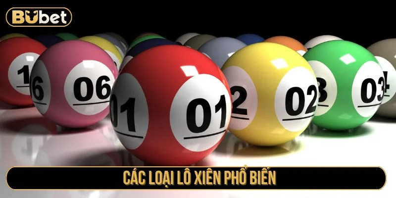 Có nhiều loại lô xiên 