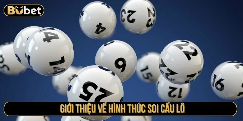 Tìm hiểu cách soi cầu lô