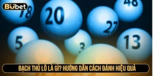 Bạch thủ lô là gì